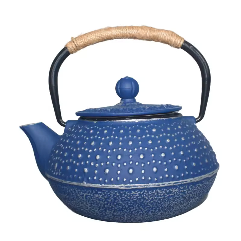 Cast Iron Teapot